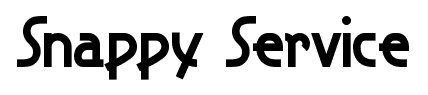 Snappy Service font